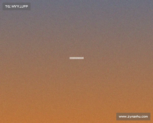 国际赛事举办流程是什么