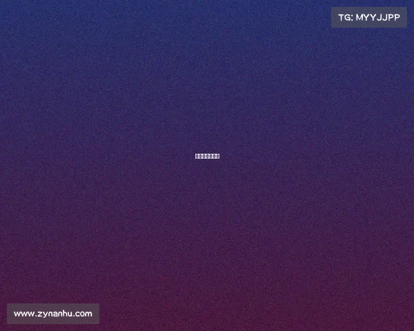 女排国家队比赛