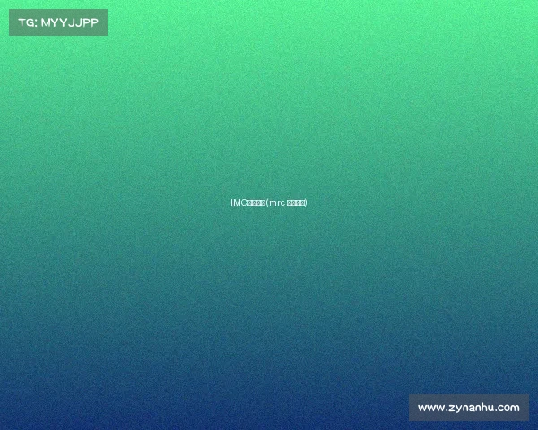 IMC电子竞技(mrc 电子竞技)